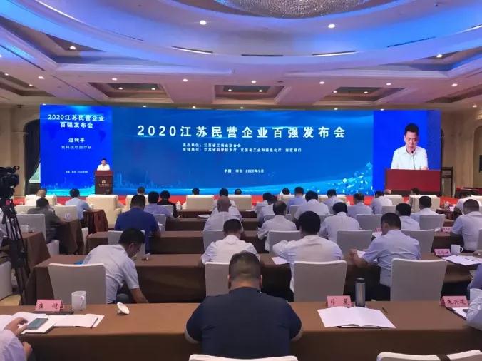 918博天堂入选2020江苏民营企业创新100强